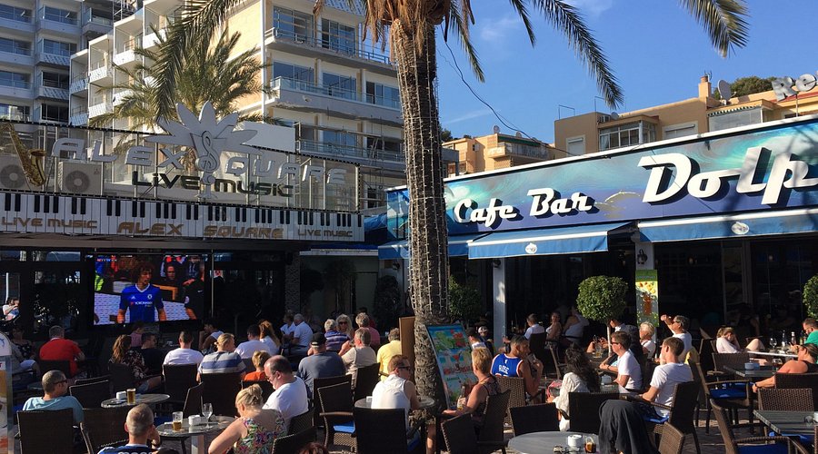 Dolphin bar palmanova
